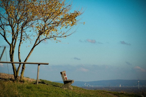 Les maladies tropicales négligées : un focus mérité